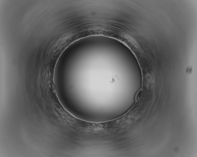 X0000090861111200707271223