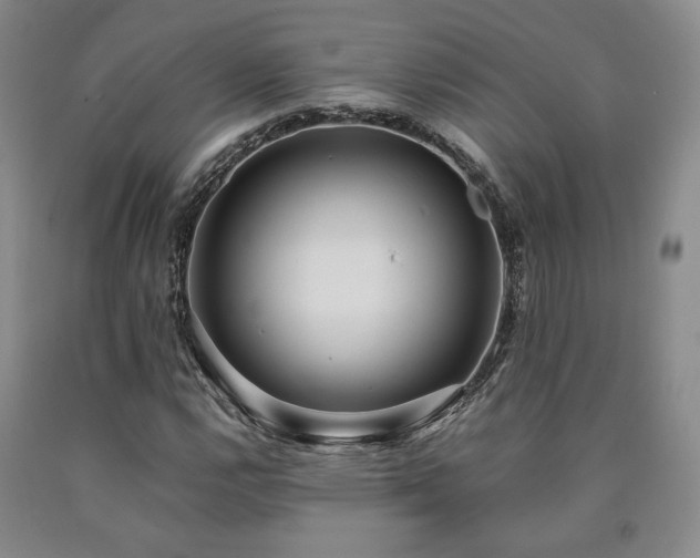 X0000090861112200707271223