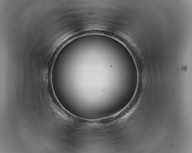 X0000090861113200707271223