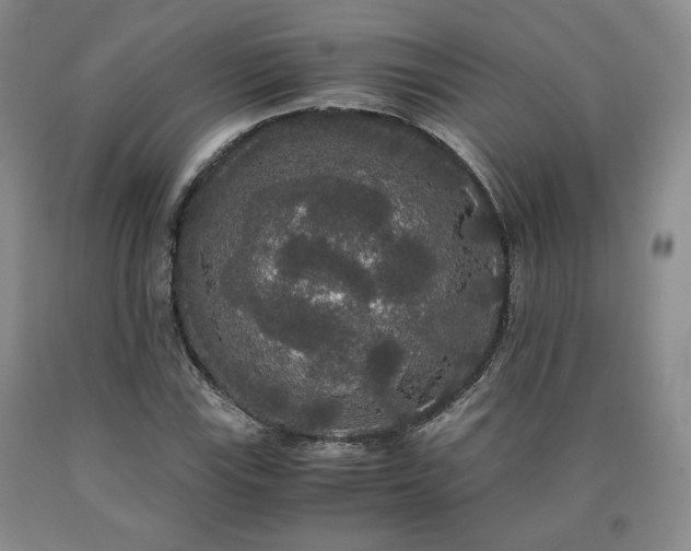 X0000090861115200707271223
