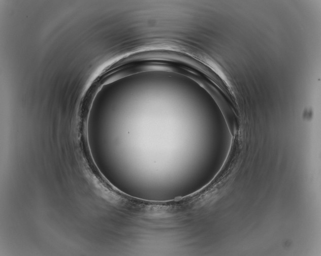 X0000090861116200707271223