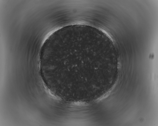 X0000090861117200707271223