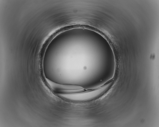 X0000090861118200707271223