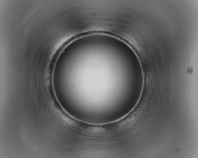 X0000090861119200707271223