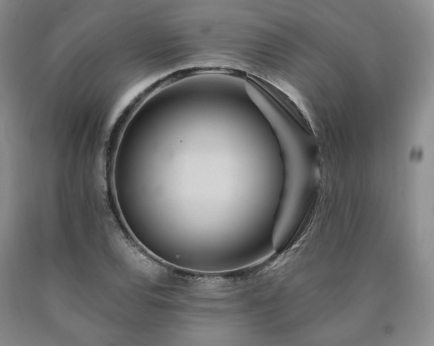 X0000090861120200707271223