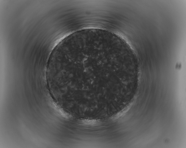 X0000090861121200707271223