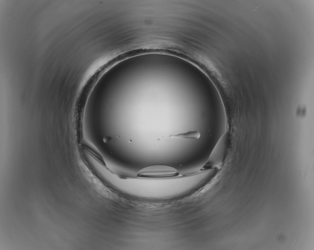 X0000090861122200707271223