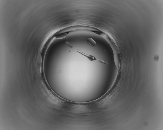 X0000090861123200707271223