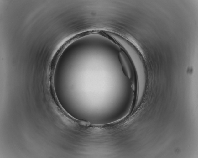 X0000090861124200707271223