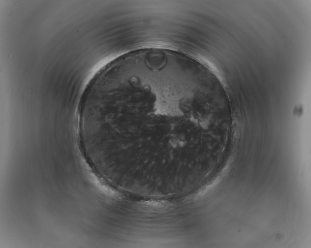 X0000090861125200707271223