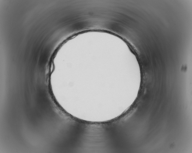 X0000090861126200707271223