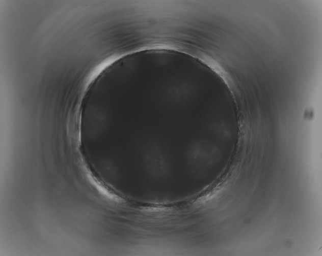 X0000090861127200707271223