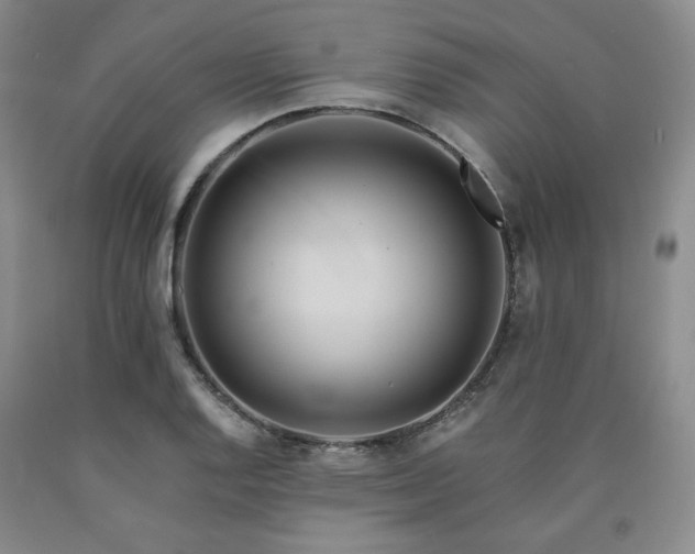 X0000090861128200707271223