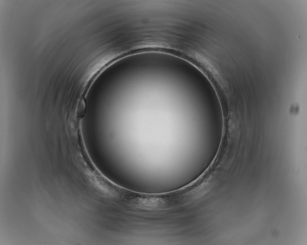 X0000090861129200707271223