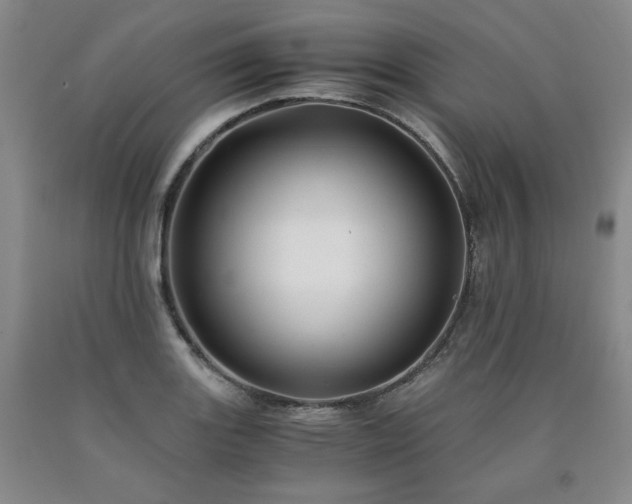 X0000090861131200707271223