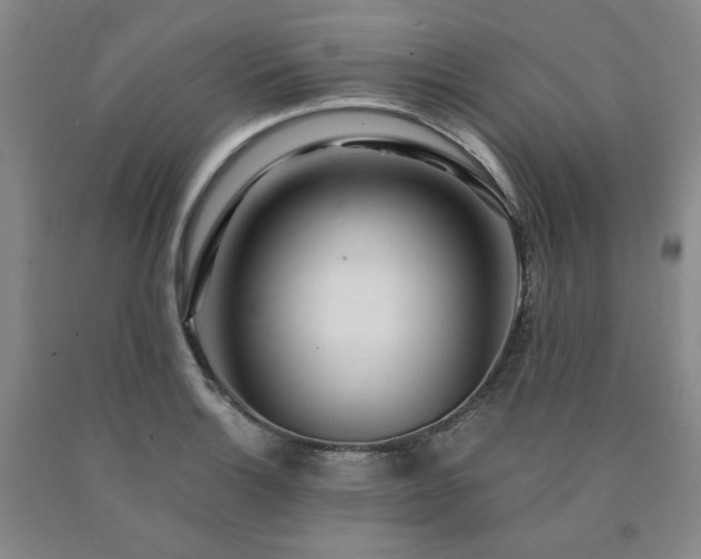 X0000090861132200707271223