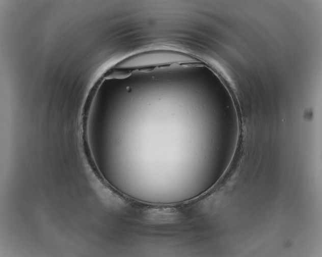X0000090861133200707271223