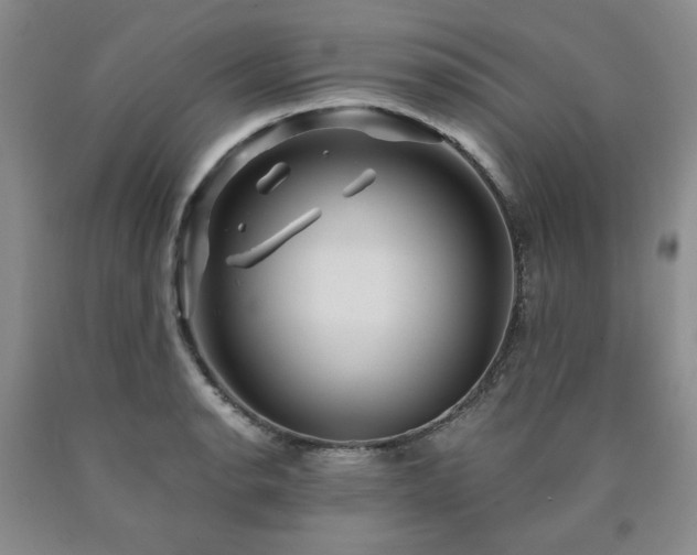 X0000090861134200707271223