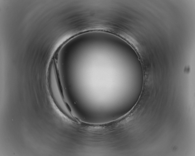 X0000090861135200707271223