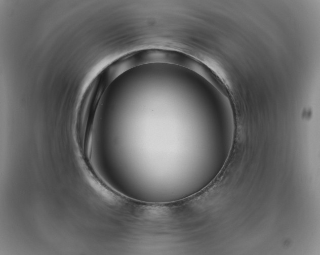 X0000090861136200707271223