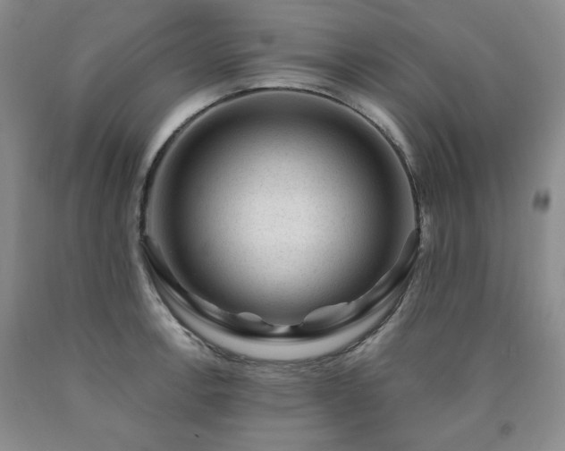 X0000090861138200707271223