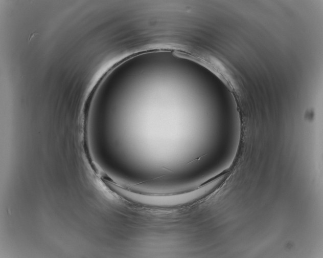 X0000090861140200707271223