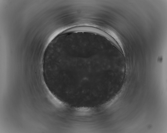X0000090861141200707271223