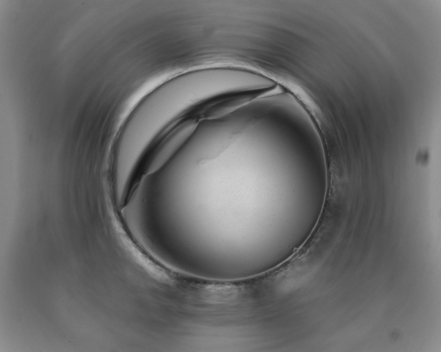 X0000090861142200707271223