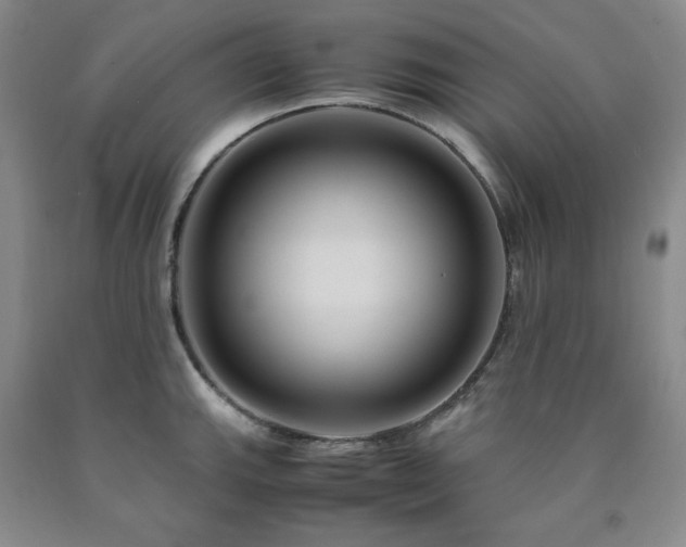 X0000090861143200707271223