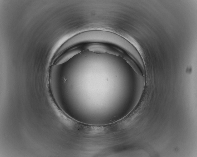 X0000090861144200707271223