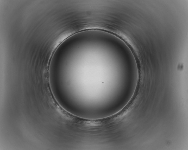 X0000090861145200707271223