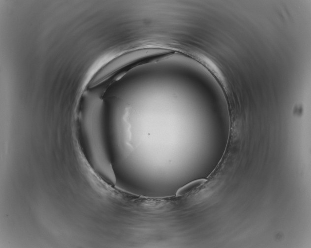 X0000090861146200707271223