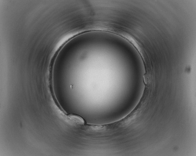 X0000090861147200707271223