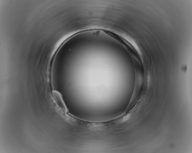 X0000090861148200707271223