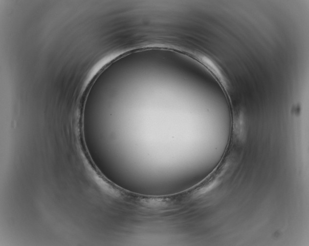 X0000090861149200707271223