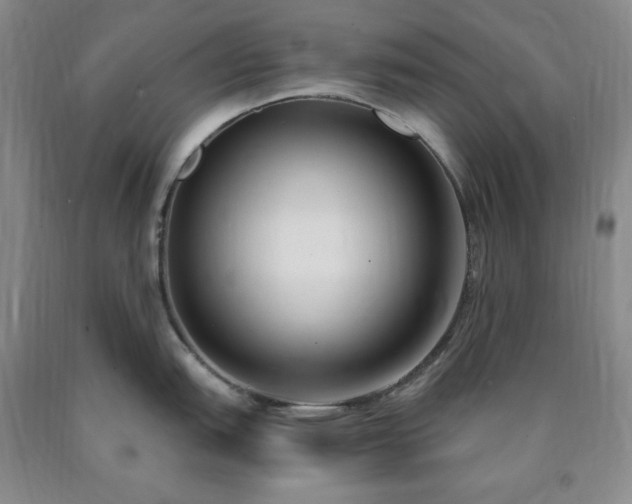 X0000090861151200707271223