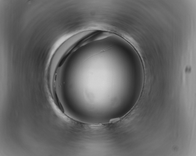 X0000090861152200707271223