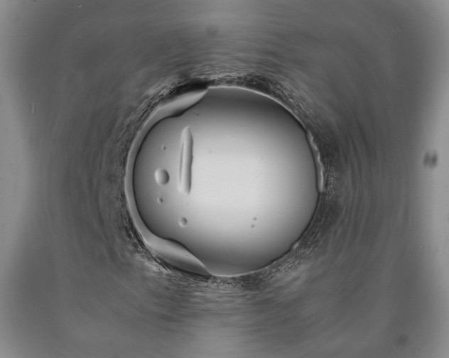 X0000090861153200707271223