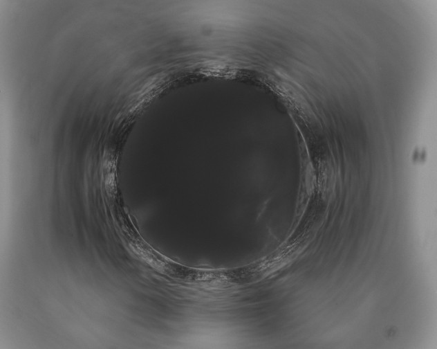X0000090861154200707271223