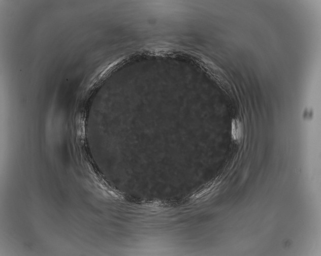 X0000090861155200707271223