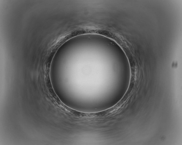 X0000090861157200707271223