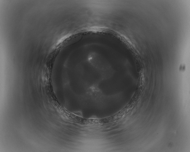 X0000090861158200707271223