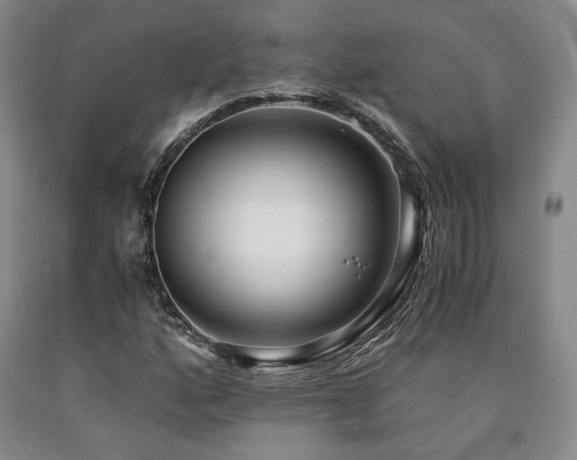 X0000090861160200707271222