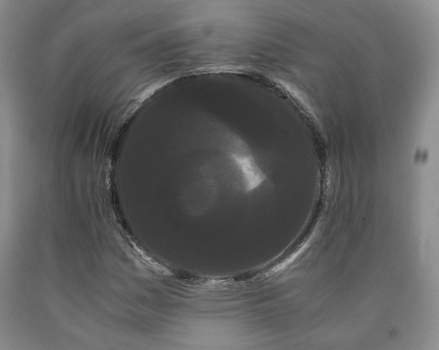 X0000090861161200707271222