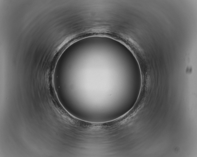 X0000090861162200707271222