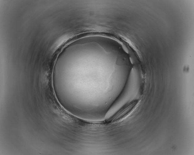 X0000090861163200707271222