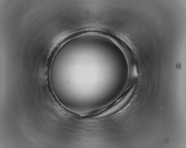 X0000090861164200707271222