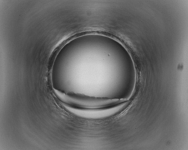 X0000090861165200707271222