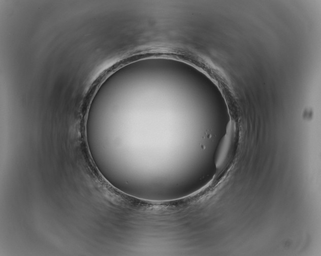 X0000090861166200707271222