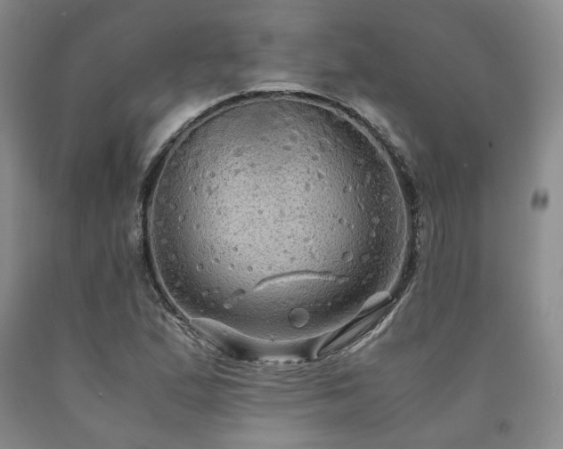 X0000090861167200707271222